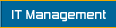  IT Management - 