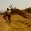 Image 1 for 'Antelope crashes into mountain biker (Pic: Youtbe)' gallery