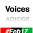 feb17voices
