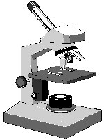 Microscope