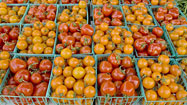 <b>Photos: </b> What's fresh at local farmers' markets